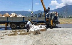 Phó Thủ tướng: Kiểm tra việc chôn rác thải của Formosa