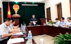 Vụ hắt dầu luyn vào thịt lợn: Khởi tố, truy bắt 2 đối tượng, thu mua hết số lợn của chị Xuyến