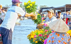 Du lịch Tết: Tour xa hút khách, tour trong nước giá vài trăm ngàn 