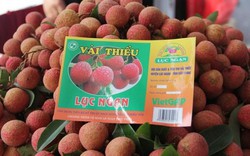 Thái Lan đóng góp “tích cực” vào thành tích xuất khẩu rau quả của Việt Nam