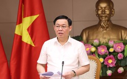 Phó Thủ tướng Vương Đình Huệ trả lời  về dự án nâng cấp đường bộ nối Phú Yên và Gia Lai