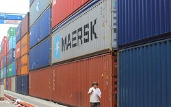 Phó Thủ tướng yêu cầu”xử lý” người đứng đầu vụ để 213 container “mất tích“