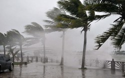 Thủ tướng  yêu cầu chính quyền các địa phương khắc phục hậu quả bão số 3, ứng phó với mưa lũ