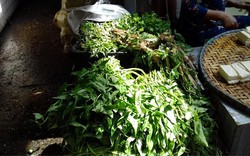 Sau mưa lớn, người Hà Nội phải mua 20.000 đồng một mớ rau muống, nông dân lắc đầu “không tin nổi“