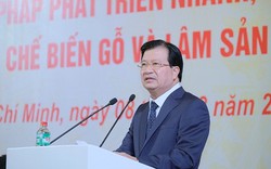 Phó Thủ tướng Trịnh Đình Dũng yêu cầu khắc phục hạn chế trong công tác giám sát, đánh giá đầu tư