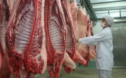 Triển khai các giải pháp ổn định thị trường thịt lợn