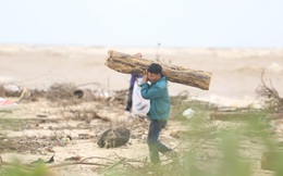 Ảnh: Người dân đổ ra biển nhặt củi trong cơn lũ lịch sử ở Quảng Bình