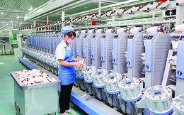 Dệt may Thành Công (TCM) báo lãi 9 tháng 189 tỷ đồng, vượt chỉ tiêu cả năm 2020