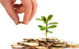 Lịch chốt quyền nhận cổ tức bằng tiền của 10 doanh nghiệp