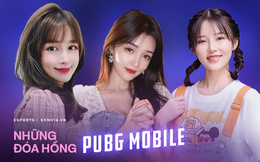 Top những nữ streamer PUBG Mobile xứ Trung xinh đẹp ngất ngây, cộng đồng chỉ vào &quot;ngắm gái&quot; chứ chẳng ai xem game!