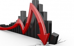 Thị trường ngày 27/10: Giá dầu mất 3%, đậu tương đắt nhất 4 năm, giá cao su vẫn tăng tiếp