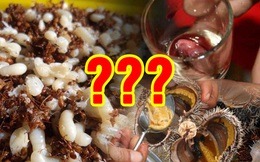 Việt Nam có hàng loạt món ăn, bạn đã biết hết chưa?