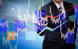 Tiêu điểm xử phạt tuần qua: Thêm nhiều doanh nghiệp và cá nhân bị UBCKNN phạt