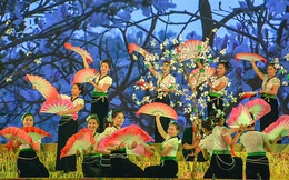 Điện Biên dừng tổ chức Lễ hội Hoa Ban năm 2020 vì nCoV