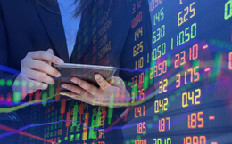 Pyn Elite Fund không còn là cổ đông lớn của Savico