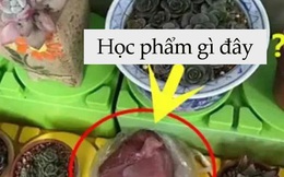 Cô giáo yêu cầu một đằng, bé trai 5 tuổi làm một nẻo khiến hiệu trưởng cũng phải phì cười