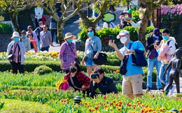Hội chợ Du lịch VITM Hà Nội 2020: Nhiều gói hỗ trợ nhằm kích cầu du lịch cuối năm
