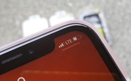 Apple lại bị kiện tập thể vì iPhone XR bắt sóng kém