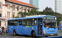 Doanh nghiệp vận hành hệ thống xe buýt Sài Gòn từ lãi 11 tỷ thành lỗ 69 tỷ sau kiểm toán