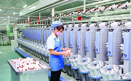 Dệt may Thành Công (TCM) ước lãi trước thuế 236 tỷ đồng trong năm 2020, giảm 14%