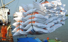 Thủ tướng chỉ đạo tháo gỡ khó khăn cho xuất khẩu gạo, xem xét cho phép xuất khẩu gạo nếp