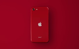 Tôi đã từng cân nhắc bỏ Apple để chuyển sang Android, nhưng iPhone SE đã làm ý định đó tiêu tan