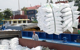 Rà soát, xử lý theo pháp luật doanh nghiệp khai khống để đăng ký hạn ngạch xuất khẩu gạo