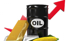 Thị trường ngày 24/4: Giá dầu tiếp tục leo dốc gần 20%, các hàng hóa khác cũng đồng loạt tăng cao