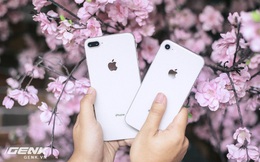 Trong tầm giá 12 - 17 triệu, đây là những mẫu smartphone đáng mua hơn iPhone SE 2020 mới