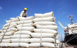 Bộ Công Thương kiến nghị xuất khẩu gạo trở lại bình thường 