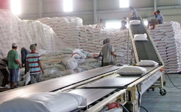 Thanh tra Chính phủ chính thức thanh tra việc xuất khẩu gạo