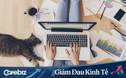 Nhân viên làm việc ở nhà mùa dịch Covid-19, chuyên gia đại học RMIT đưa ra 5 lời khuyên để doanh nghiệp vận hành hiệu quả