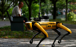 Singapore dùng chó robot để đảm bảo người dân tuân thủ việc cách ly xã hội