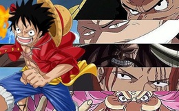 One Piece: Trở thành cướp biển mạnh thống trị Tân thế giới vì các Tứ Hoàng đều có mục tiêu của riêng mình