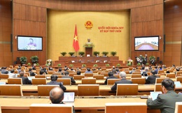 Nếu ban hành, Việt Nam sẽ là nước đầu tiên trên thế giới có Luật hộ kinh doanh