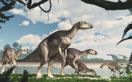Úc phát hiện ra hóa thạch khủng long biến thành đá quý