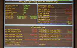 An Phát Holdings: IPO thành công 4,3 triệu cổ phiếu, giá chào mua gấp đôi giá khởi điểm  