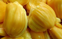 Quả mít siêu bổ nhưng đừng bao giờ phạm phải 4 điều cấm kỵ này khi ăn kẻo gây nóng trong, nổi mụn nhọt và làm hại cơ thể