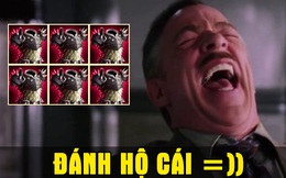 Game thủ Việt build nhân vật cực dị, đóng full &quot;giáp gai&quot; làm loạn server quốc tế: Tự đánh 2 giây, lăn quay ra chết!