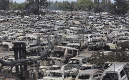 24h qua ảnh: Hàng loạt ô tô bị cháy rừng thiêu rụi ở Mỹ