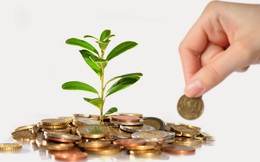 Lịch chốt quyền nhận cổ tức bằng tiền của 10 doanh nghiệp