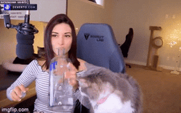 Nữ streamer tan tành sự nghiệp vì có hành vi ngược đãi động vật ngay trên sóng stream