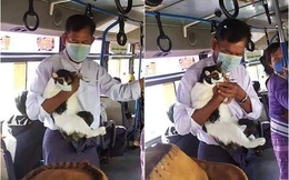 Người đàn ông mang theo chú mèo lên xe bus, nhưng thứ trên mặt bé mèo mới khiến tất cả hành khách thích thú