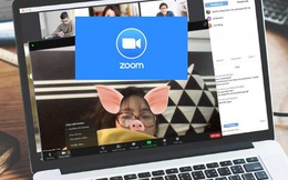 Zoom bây giờ đã có filter &quot;xịn sò&quot; không kém gì Instagram, chuẩn bị làm việc online mà không phải lo nhàm chán rồi!