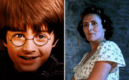 Tiết lộ lý do đau lòng khiến Harry Potter chỉ có mỗi bà dì xấu tính, vì sao có thừa tiền mà không còn người thân?