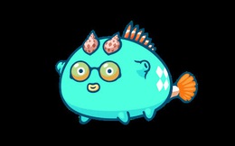 Tăng gấp đôi sau vài ngày, vốn hóa đồng AXS của game Axie Infinity do người Việt phát triển đạt 8,5 tỷ USD 