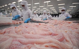 Xuất khẩu thủy sản tháng 9/2021 tiếp tục giảm 23%