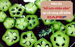 Món ăn được mệnh danh là “nhân sâm xanh”, có bán đầy ngoài chợ Việt: Giàu canxi hơn sữa, tốt cho người tiểu đường mà giá thì rẻ bèo