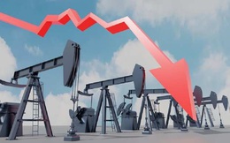 Giá dầu giảm 13% - mạnh nhất kể từ tháng 4/2020