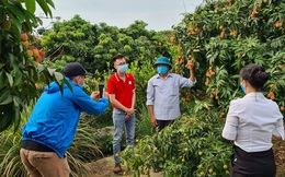 Doanh nghiệp Việt hưởng lợi trên các sàn TMĐT dịp cuối năm